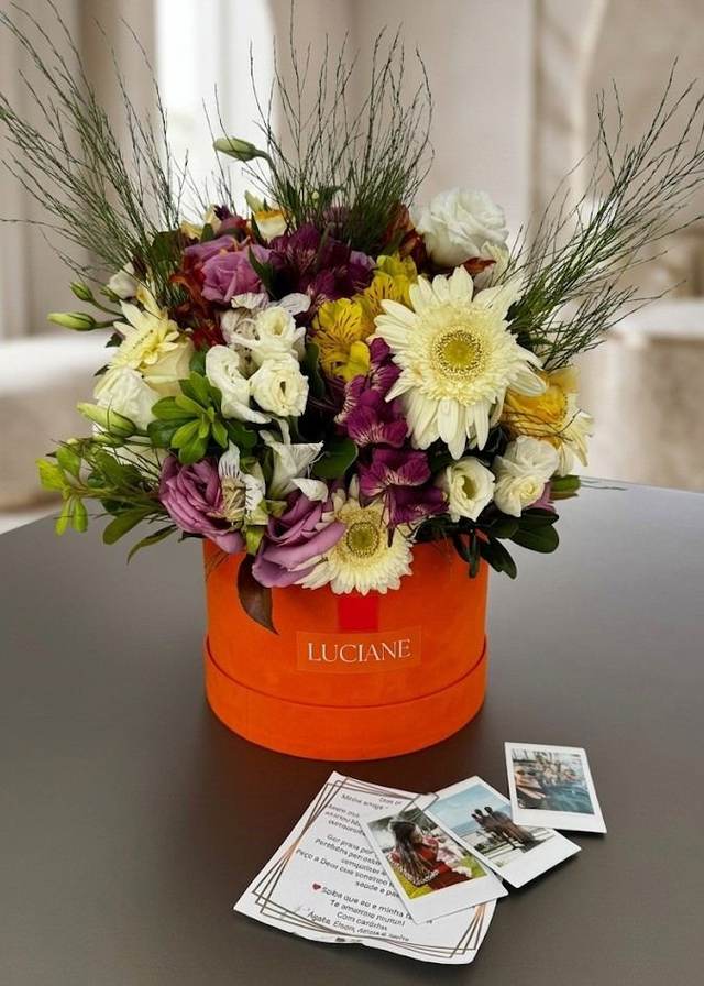 Arca de Memórias - Upata Plantas e Flores