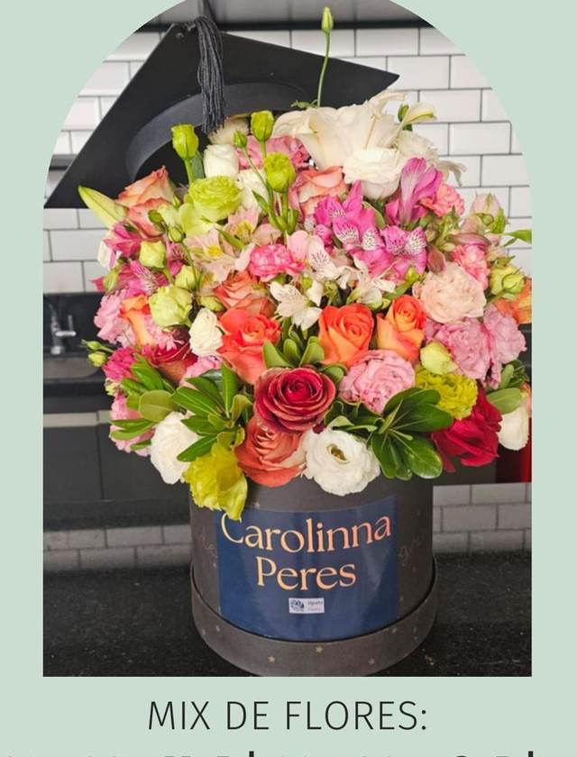 Box Graduação - Upata Plantas e Flores