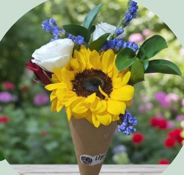 Cone de Flores - Upata Plantas e Flores