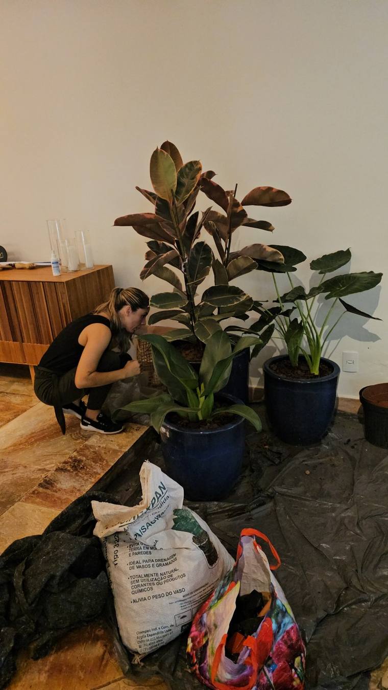 Upata na sua Casa - Upata Plantas e Flores